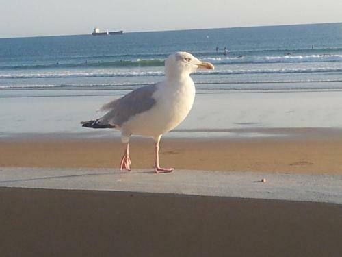 Apartamento Appartement Vue Sur Mer