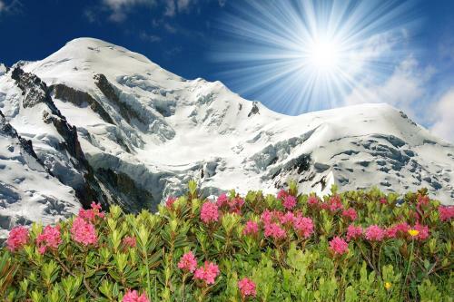 Apartamento Cristal D'argentiere
