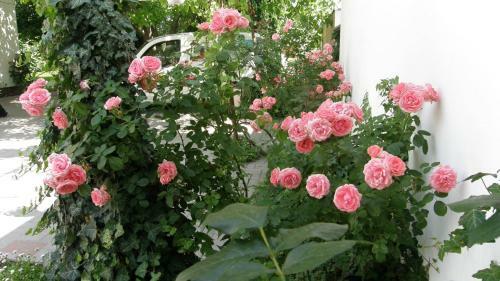 Hostal Marika Vend�gh�z