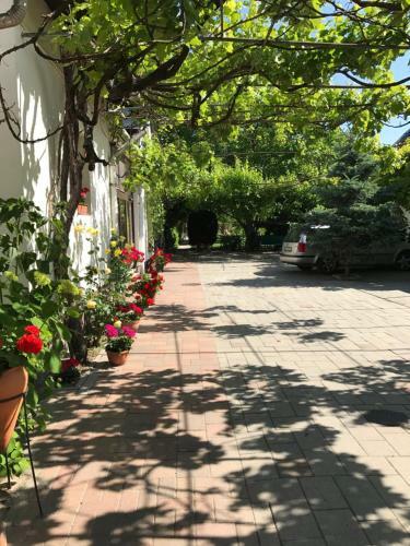 Hostal Marika Vend�gh�z