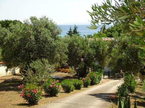 Villa Elia- More Akti Salonikiou