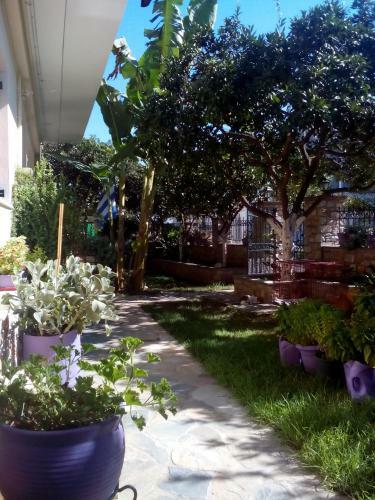 Apartamento Pansion Matoula