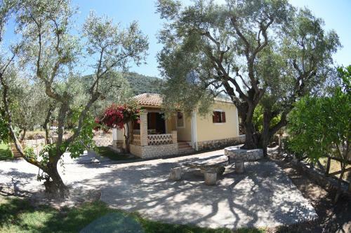 Yannis' Village