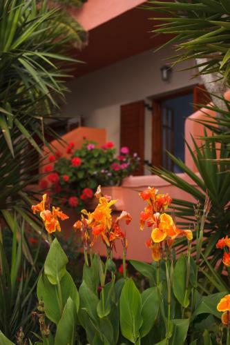 Hostal Flisvos Rooms