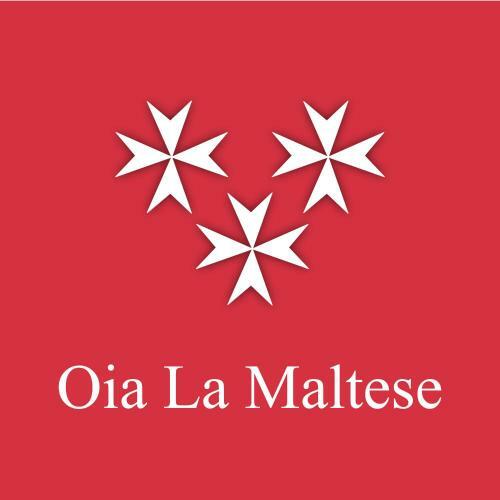 Hotel La Maltese Oia Luxury Suites