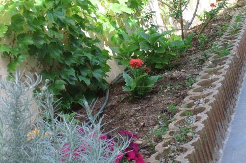 Hotel H�tel Restaurant U.pozzu