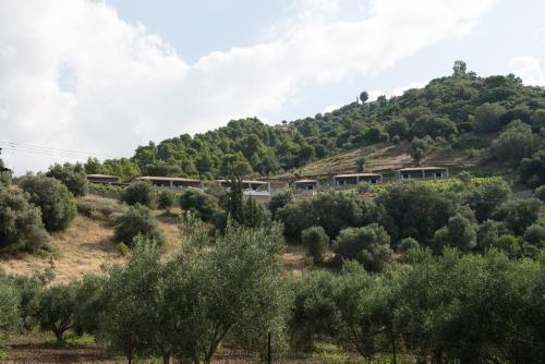 Hotel Elimnion Resort