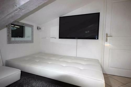 Cannes Roof-top Apartment