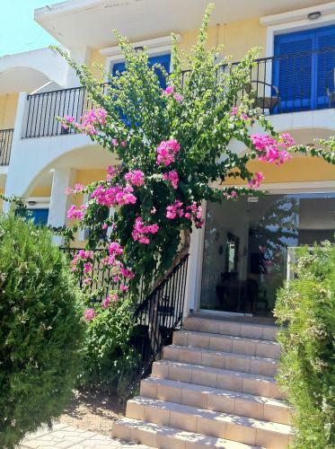 Aparthotel Castellania Hotel Apartments