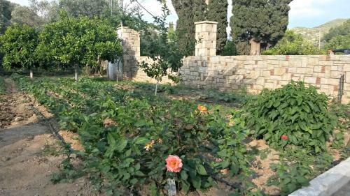 Apartamento Kerveli Luxury Villa
