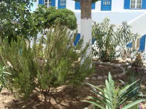 Apartamento Pension Marina
