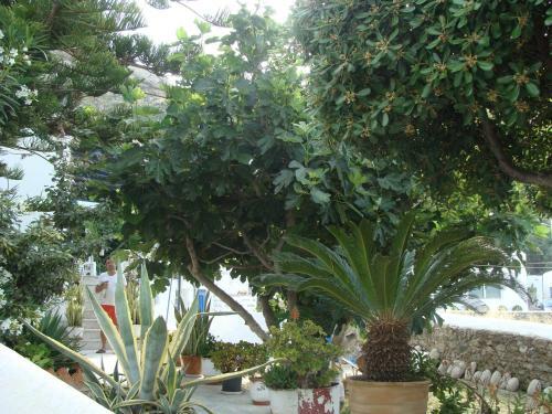 Apartamento Pension Marina