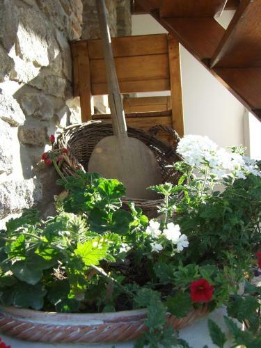 Hostal Cs�t� Vend�gh�z