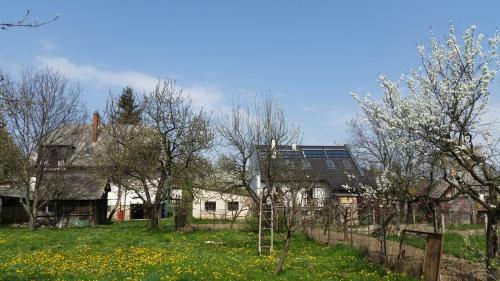 Hostal V�r-lak Vend�gh�z