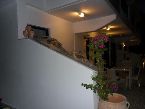 Apartamento Bouganville Studios Stegna