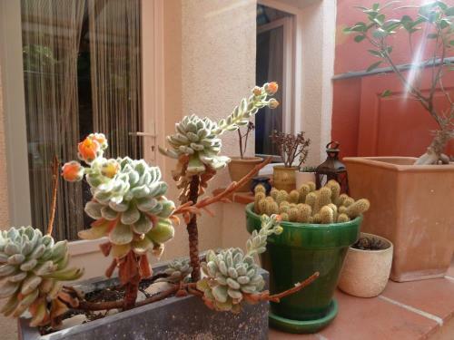Hotel H�tel La Villa Patricia
