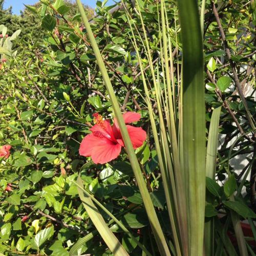 Hotel H�tel La Villa Patricia