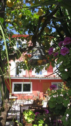 Hotel H�tel La Villa Patricia