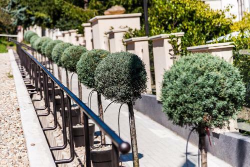 Villa Rosa Boutique Hotel