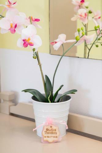 Apartamento Theodora Rooms