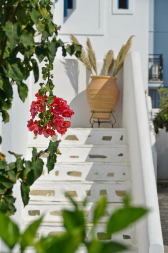 Dilino Hotel Studios