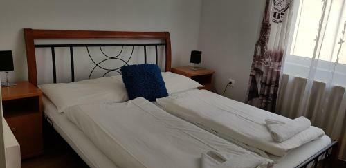 Hostal Borosty�n Vend�gh�z