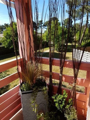 Apartment Cap Larros