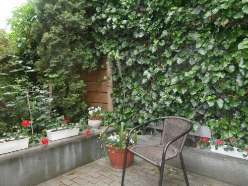 Hostal Apartman R�chegy