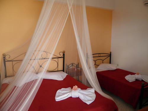 Hostal Mirsini Pansion