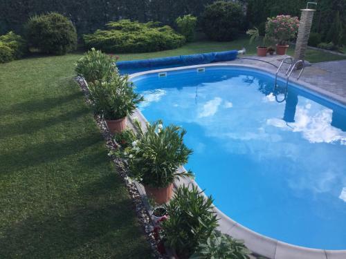 Hostal Cyrano Panzi�