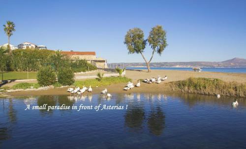 Asterias Studios & Apartments