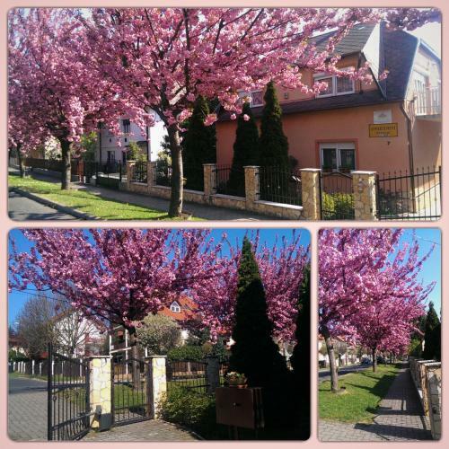 Sz�cs�nyi Apartman