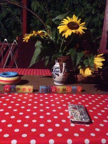 Mg Apartmanh�z