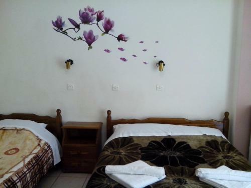 Hostal Dimitra