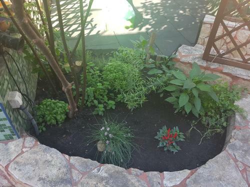 Bed & Breakfast Oswaldo Panzi�