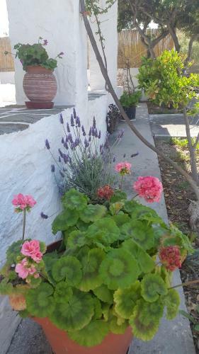 Apartamento Anna Studios