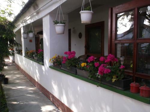 Bed & Breakfast Vali Vend�gh�z