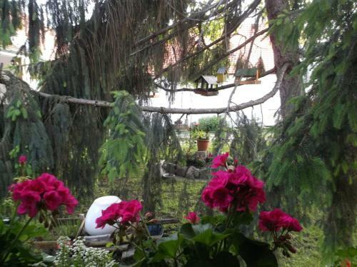 Bed & Breakfast Vali Vend�gh�z
