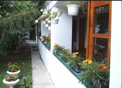 Bed & Breakfast Vali Vend�gh�z