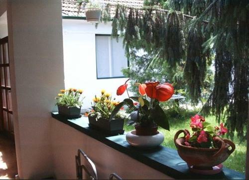 Bed & Breakfast Vali Vend�gh�z
