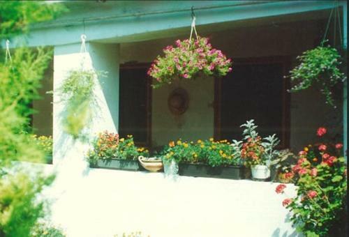 Bed & Breakfast Vali Vend�gh�z