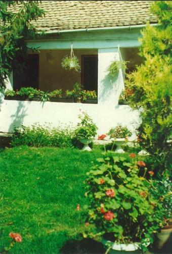 Bed & Breakfast Vali Vend�gh�z