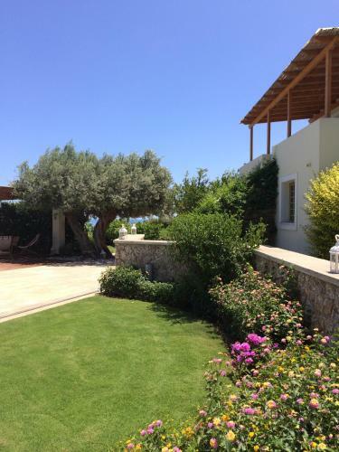 Villa Xenon Estate