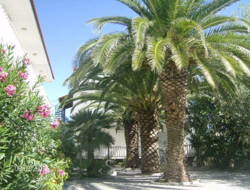 Apartamento Villa Daizy