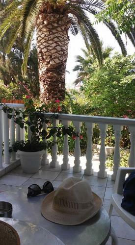 Apartamento Villa Daizy