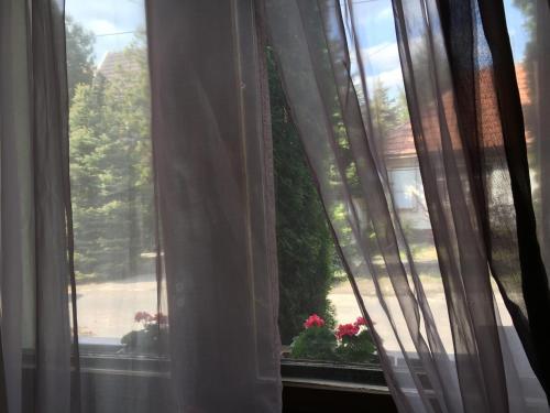 Orosz Apartmanh�z Gyula