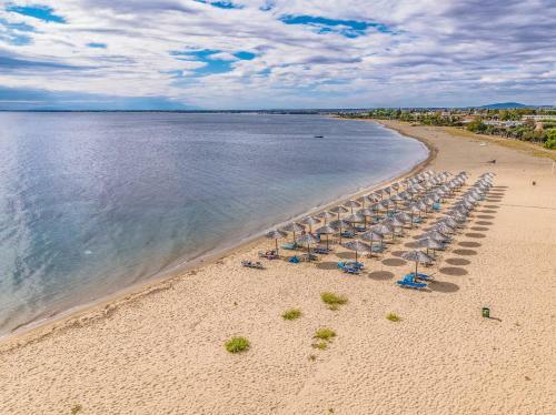 Coral Blue Beach Hotel