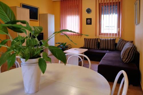V�r-torony Apartman