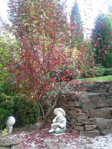 Bed & Breakfast Cecey Vend�gh�z