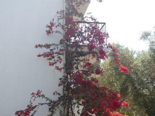 Apartamento Irini Studios